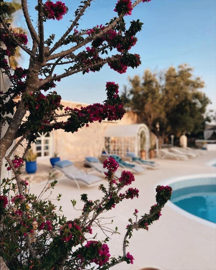 Out Of Medina Bed & Breakfast Essaouira Exterior photo
